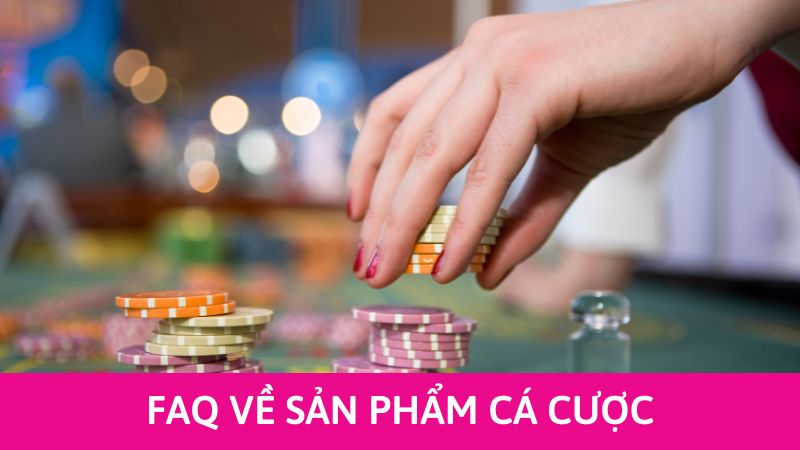 giải mã câu hỏi về Happyluke