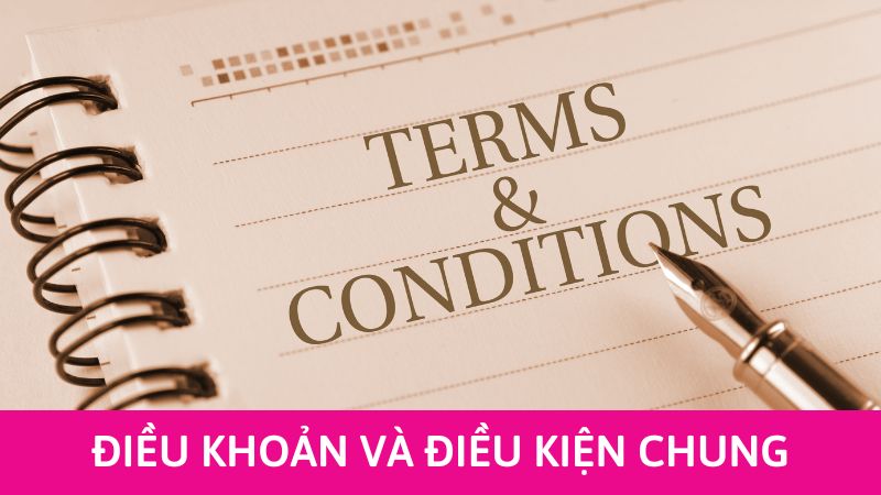 điều khoản và điều kiện chung của Happyluke
