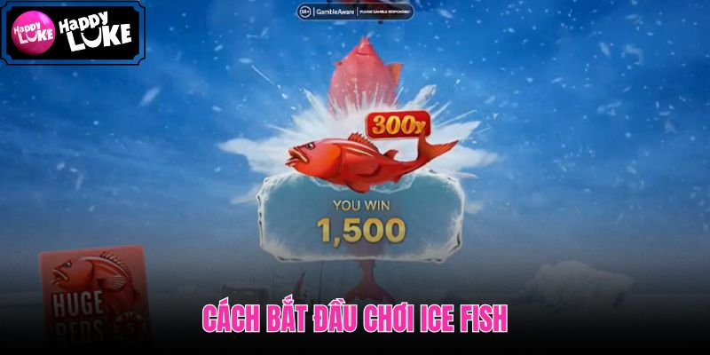 Các bước nhanh để vào Ice Fish và bắt đầu bắn cá