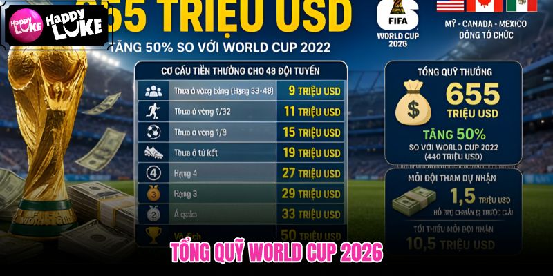 Hai mốc quỹ FIFA và phạm vi cập nhật cần đối chiếu